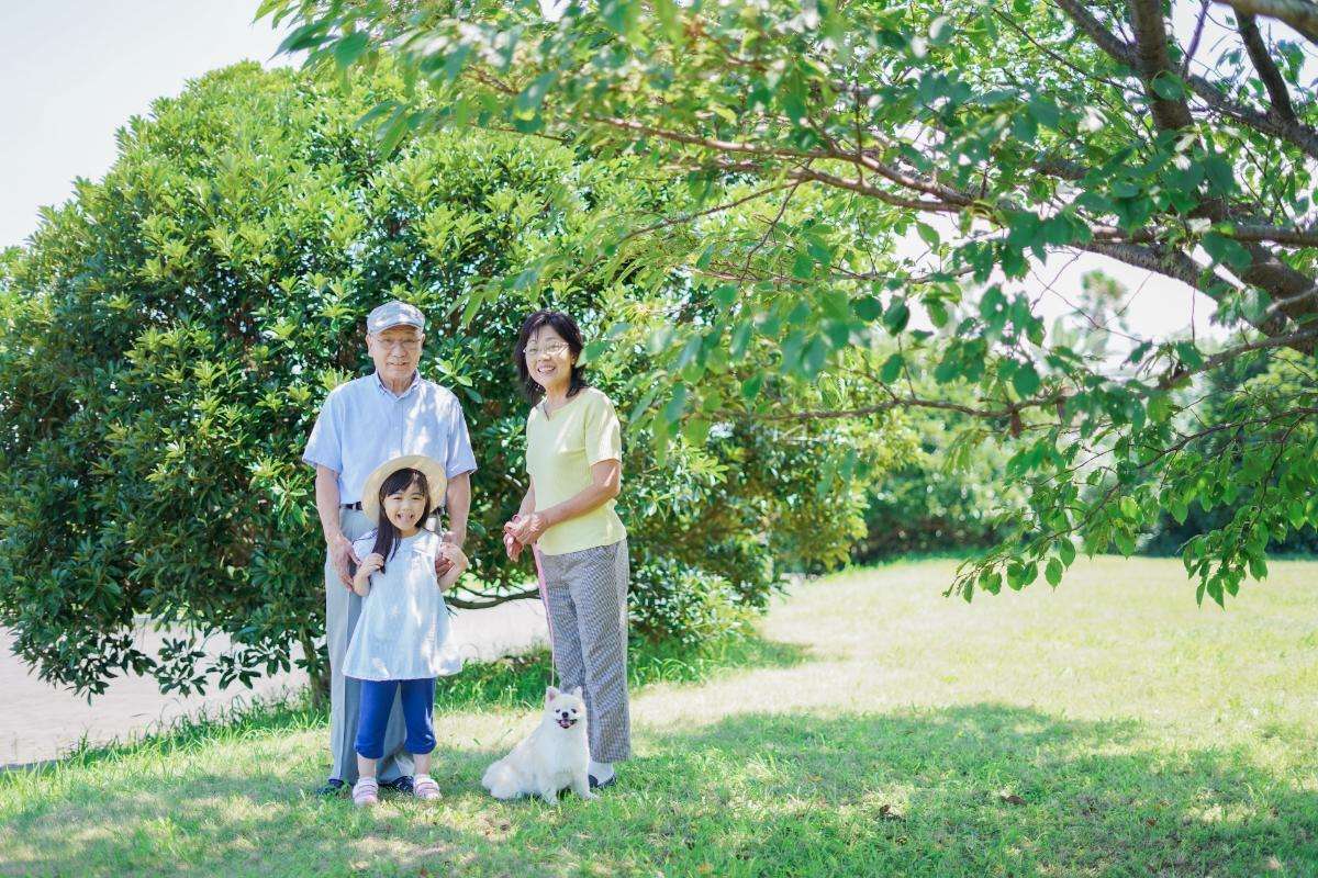 司法書士に依頼？ペット信託の安心相続と失敗しない契約の全知識